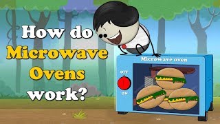 How do Microwave Ovens work  more videos  aumsum kids science education children [upl. by Hyacintha649]