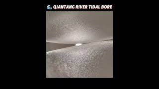 2024 Qiantang River tidal bore A spectacular experience china shorts [upl. by Enigroeg]