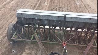 Seeding dryland alfalfa with John Deere Van Brunt Model B behind an IH 856 [upl. by Edahsalof61]