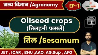 तिल की फसलCultivation of Sesame Crop  Oilseed crops  Agronomy Agri SupervisorJETICAR CUET [upl. by Romulus]