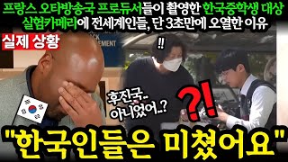 해외반응 프랑스 오타방송국 프로듀서들이 촬영한 한국 중학생대상 실험카메라에 전세계인들이 오열한 이유 외국인반응 일본반응 외국반응 세계반응 [upl. by Mcafee]