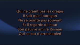 Les Cowboys Fringants  Chêne et roseau  Karaoke  Lyrics [upl. by Kelley]