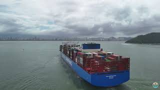 Cosco Shipping Brazil [upl. by Arundell]