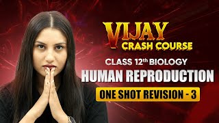 Human Reproduction  One Shot Revision Part 3  Class 12 Biology Chapter 2  Vijay Crash Course [upl. by Ahsinoj]