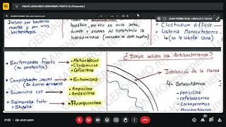 Antibacterianos Antimicoticos y Antiparasitarios Farmacologia Final [upl. by Francoise237]