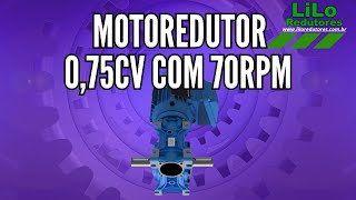 Motoredutor WCG01 com Motor de 075cv e 70rpm Weg Cestari Trifásico 125 NDJ [upl. by Rebmik]