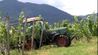 Weingut Eckberg  Arbeiten 2010 [upl. by Atinauq117]