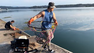 Crabbing You won’t BELIEVE how much crabs I caught off this dock Catch amp Cook [upl. by Gar]