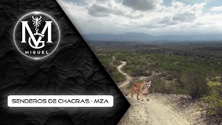 Senderos de Chacras Mendoza [upl. by Hanid777]