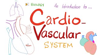 The Cardiovascular System CVS ❤️ 🩸  A Simple Introduction  Biology Anatomy Physiology [upl. by Festus]