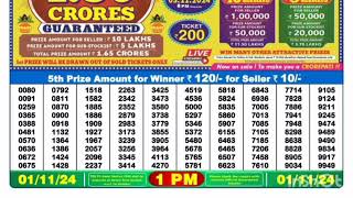 Nagaland lottery result today 11124 at 1 pm dearlottery [upl. by Arie]