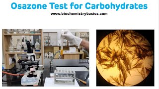 Osazone Test For Carbohydrates with Demonstration  Osazone Formation [upl. by Ardnoed]