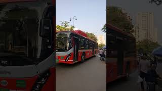 K9D Olectra Bus On Route A246 Borivali Station To Kandivali Station Via Indian Education School [upl. by Cimah]