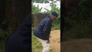 Unsuccessful Pawpaw Operation 🤣🤣 comedy funnyafricancomedy comedyfilms [upl. by Nahor]