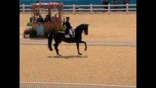 Vidéo vs photo le trot allongé partie 2 [upl. by Packton417]