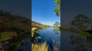 Have You Visited The Maleny Hinterland 😍 [upl. by Allicserp544]