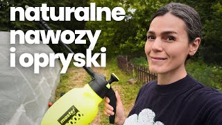 Naturalne nawozy i ekologiczne opryski do roślin  Jak chronić pomidory przed zarazą i szkodnikami [upl. by Eedak]