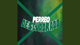 Perreo Descuadrado [upl. by Attenej499]