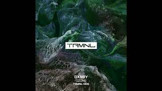 DXNBY  Ozone Marsolo Remix TRMNL006 [upl. by Curzon]