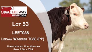 Lot 53 Leeway Wagerer T038 PP [upl. by Waine518]