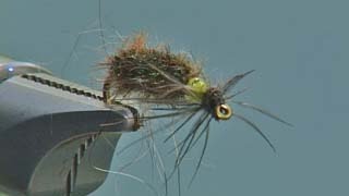 Cased Caddis fly tying video instruction by Shane Stalcup [upl. by Enenaj]