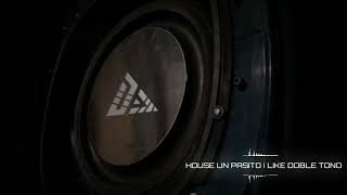 HOUSE UN PASITO I LIKE DOBLE TONO DJ DANNYS VISUALIZER [upl. by Wettam]