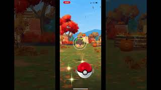 Halloween pumpkaboo field research caught pokemongo [upl. by Romie]