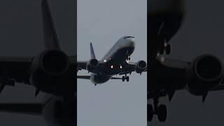 Ryanair Boeing 737 8AS Landing on EPRZ RzeszówJasionka Airport [upl. by Doone473]