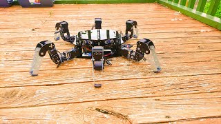 Hexapod Robot with Raspberry Pi  Programmed in Python [upl. by Loss]