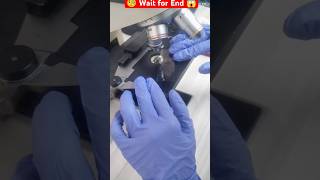 Microscopic World 🌎😱🧐 shortvideo lab labtechinicians viralvideo [upl. by Assennav]