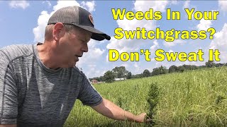 What Weed Killer Is Safe To Spray On Switchgrass  RC Big Rock [upl. by Brill]