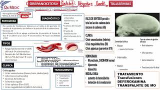 3 RM19 2V HEMATOLOGÍA ESFEROCITOSIS DEFICIT DE PK Y G6PDH DREPANOCITOSIS TALASEMIAS [upl. by Runck816]