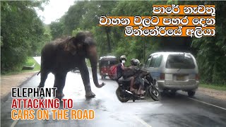 elephant attack to cars on the road who stop attack chasing elephant [upl. by Irrabaj]