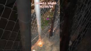 Diwali night Trinidad 🇹🇹 part one 311024 [upl. by Ljoka683]