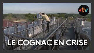 Cognac  la colère monte chez les viticulteurs [upl. by Misa285]