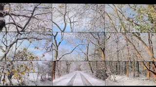 David Hockney Video Digital Wall Art  Winter Snow in Woods Fitzwilliam Museum Cambridge [upl. by Adamok]