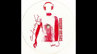 Scissor Sisters • Comfortably Numb Tiga Remix 2003 [upl. by Icam]