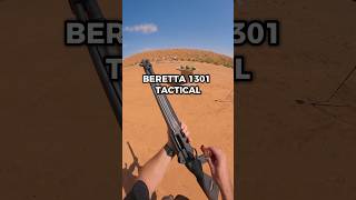 Beretta 1301 VS Watermelon shorts [upl. by Giark]