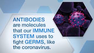 Monoclonal Antibodies A Potential Treatment for COVID19 [upl. by Romonda697]