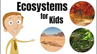 Ecosystems for Kids [upl. by Yci]