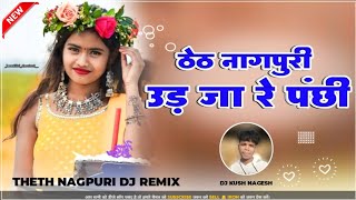 Budhman Sanyasi x chinta Devi Theth Nagpuri Song 2024  DJ Kush Upar semra [upl. by Winne]