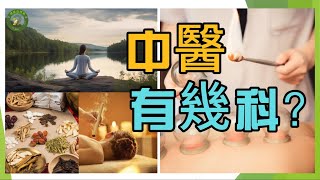 【中醫 有幾科？】解密中醫的陰陽調和與整體治療的智慧，探索中醫科目的廣大領域！中國 傳統醫學中醫 診斷 【中医科】 [upl. by Skcirdnek]