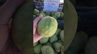 అమెరికా లో Seethaphalam జాతి fruit untadhi దీని పేరు Cherimoya Almost సీతాఫలం taste untadhi [upl. by Chirlin]