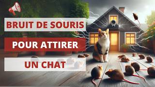 Bruit de souris pour attirer un chat 🐈 1 heure 🔊 Bruit de souris 🐁 Mouse Sound [upl. by Bate316]