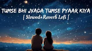 Tumse Bhi Jyada Tumse Pyaar Kiya  Slowed  Reverb Lofi Song  Black Boy 01 [upl. by Repard]