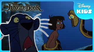 🌟 Bagheera Saves Mowgli  Jungle Book  Disney Kids [upl. by Adnohsed]