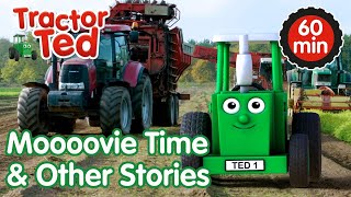 Moooovie Time amp Other Tractor Ted Stories 🚜  Tractor Ted Compilation  Tractor Ted Official [upl. by Yanal343]