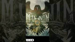 Munin  Intro [upl. by Felisha]