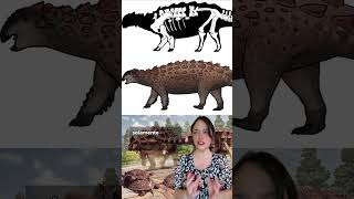 CIENTÍFICOS DESCUBREN UN NUEVO DINOSAURIO CON ARMADURA sabiasque dinosaurs [upl. by Dora785]