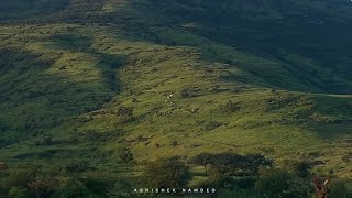 Bus journey from mumbai to pune at mumbai Pune express way [upl. by Enelehcim]